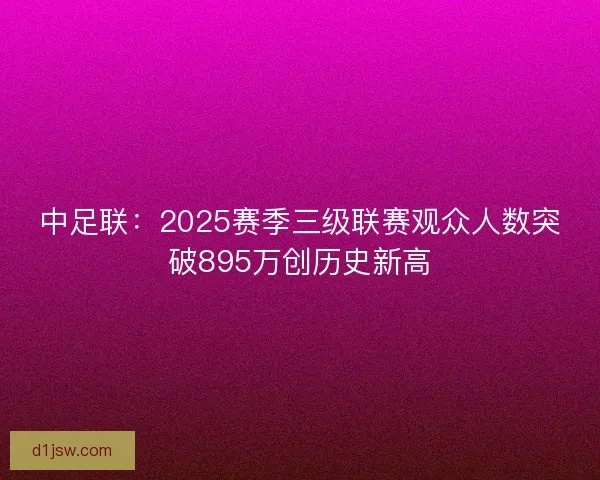 中足联：2025赛季三级联赛观众人数突破895万创历史新高