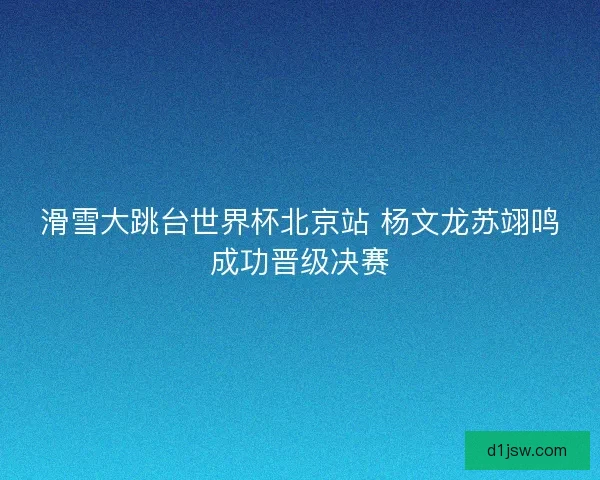 滑雪大跳台世界杯北京站 杨文龙苏翊鸣成功晋级决赛